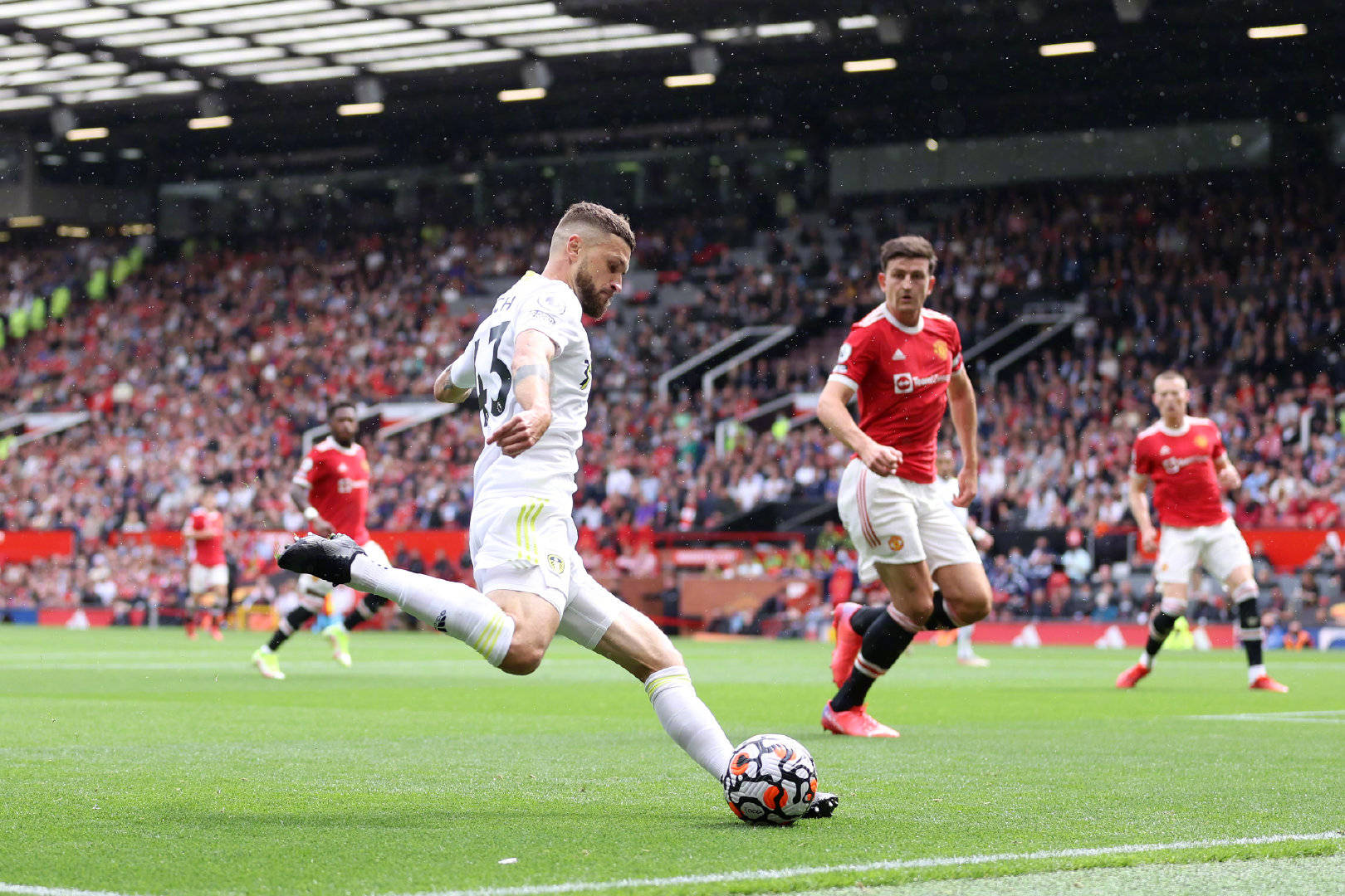 揭示了德皮 揭示了德皮